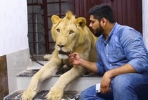 巴基斯坦兄弟饲养雄狮带其驾车出游来自巴基斯坦卡拉奇的两兄弟哈姆撒·侯赛因(Hamzah)和哈桑·侯赛因(Hassan Hussain)有着一位非传统室友:一头名叫辛巴(Simba)的成年非洲雄狮。这对热爱动物的兄弟甚至还开车带辛巴一起旅行。
【详细】
国际新闻|国际热图